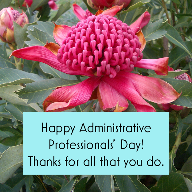Administrative Professionals’ Day