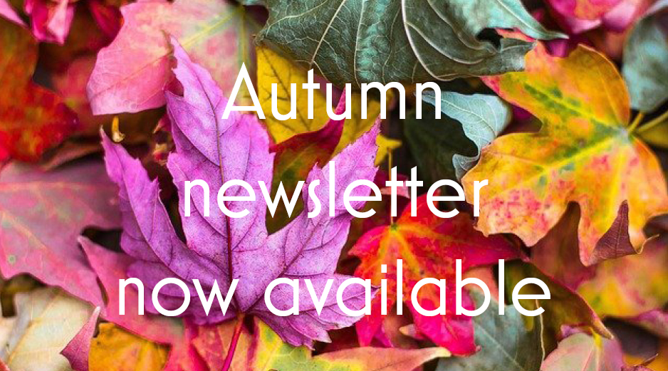 Autumn newsletter now available